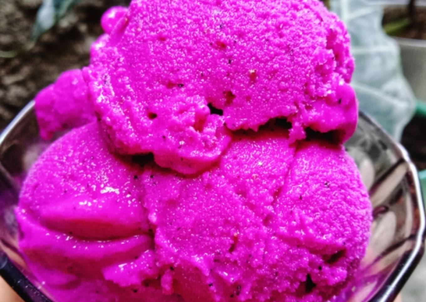 Sorbet Yogurt Buah Naga
