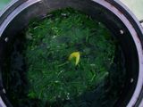 Sayur kunci daun kelor (maronggi)