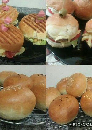 صورة لوصفة خبز البرغر pain hamburgers