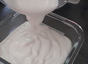 Una foto de Lactonesa con ajo