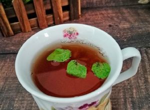 Gambar Teh O Pudina