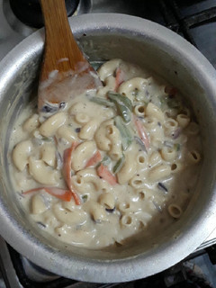 A picture of Vegetable Cheesy Cream Pasta.