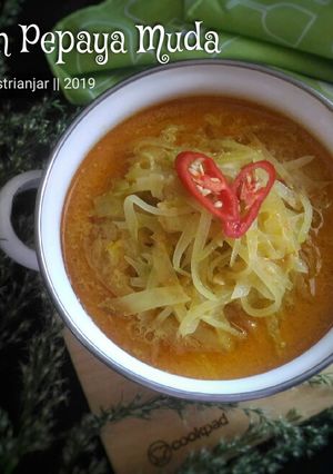 Foto resep Lodeh Pepaya Muda