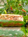 Nasi Bakar Beef Slice Sambal Matah