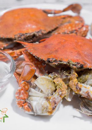 A picture of Simple Boiled Crab.