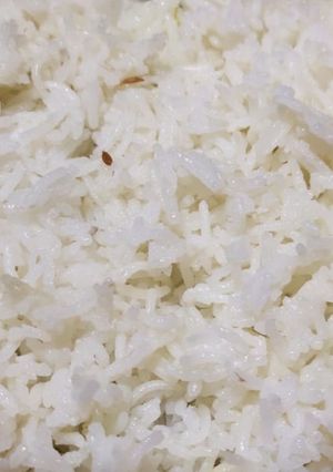 A picture of Plain rice.