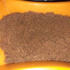 A picture of Homemade garam masala powder.