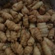 Kue garpu ndut