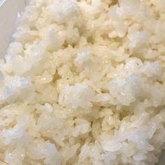 A picture of Sushi Rice (Shari, Sumeshi, Sushimeshi).
