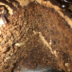 A picture of Death by chocolate cake #endyearchallenge.
