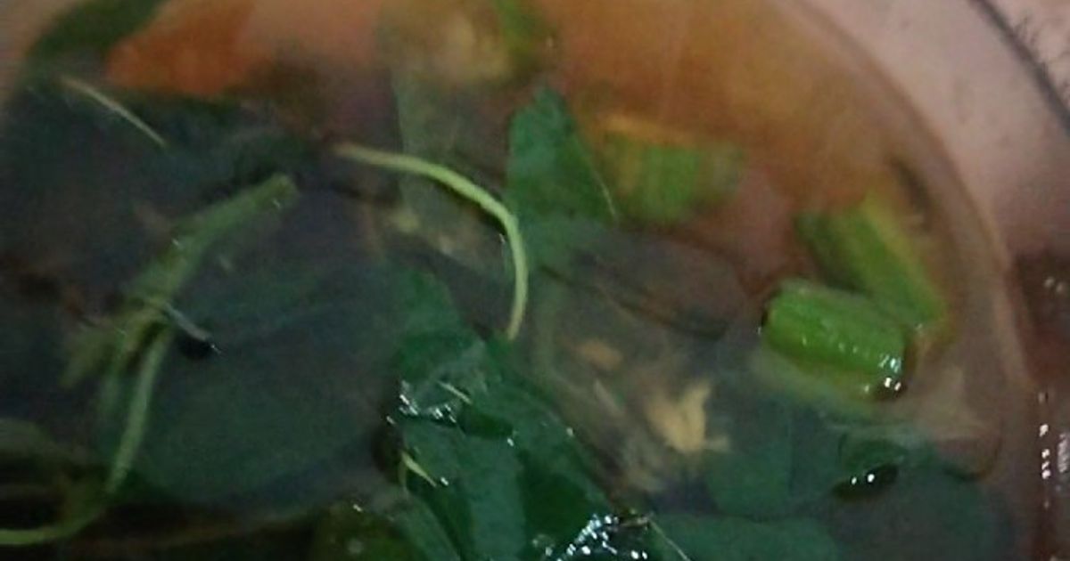 Sayur Bening Bayam dan Belutru