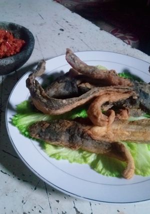 Foto resep Lele Terbang Sambal Bawang