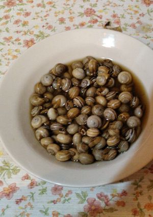 Una foto de Caracoles de Jerez