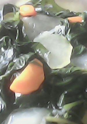 Foto resep Sayur bening daun ubi + pepaya muda