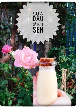 Hình của món Sữa đậu gà hạt sen.