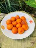 Timus Ubi Orange
