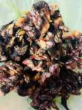Cocer percebes