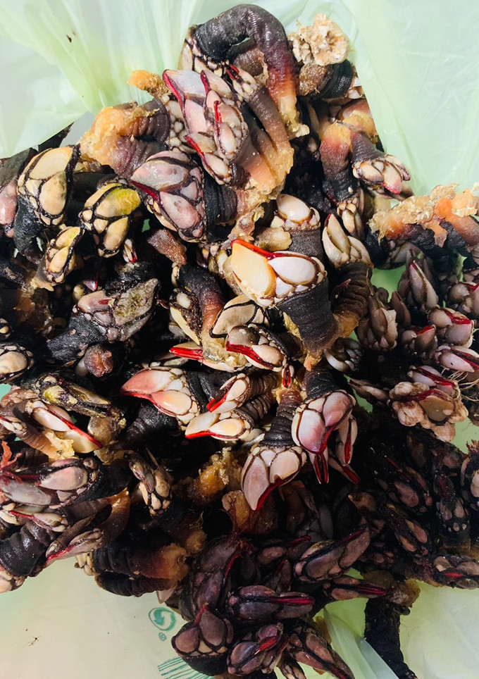 Una foto de Cocer percebes