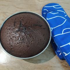 A picture of Chocolate Sponge Cake.