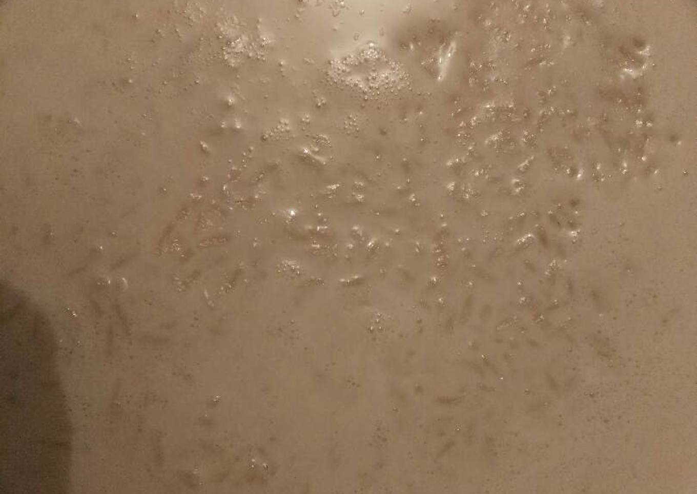 Arroz con leche