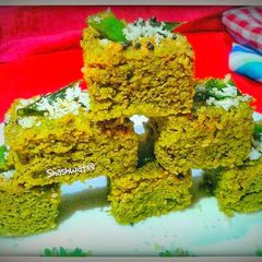 A picture of Spinach oats dhokla.