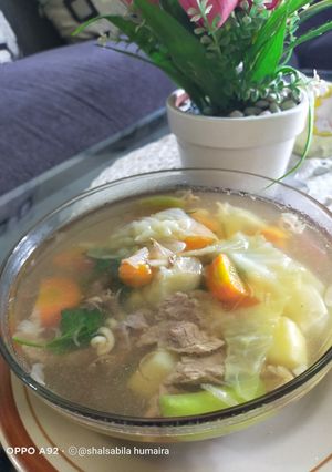 Foto resep Sup sayur plus daging super simple