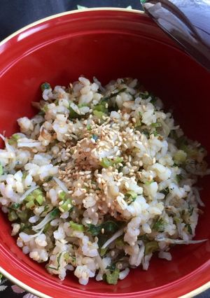 A picture of Japanese Daikon Rice and Onigiri (Rice Ball).