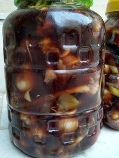 عکسی از دستور سیر هفت ساله در چهل روز