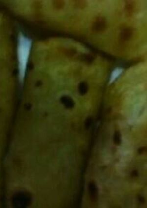A picture of Pancakes.