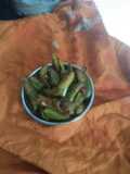 #Masala Parwal