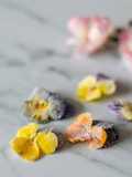 Candied flowers 💐