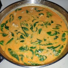A picture of Thai Chicken Curry.