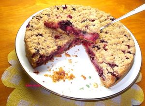 Morzsás szilvás pite habkönnyű tésztával recept fotója