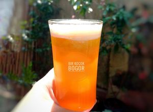Foto resep Bir Kocok Jahe Bubuk