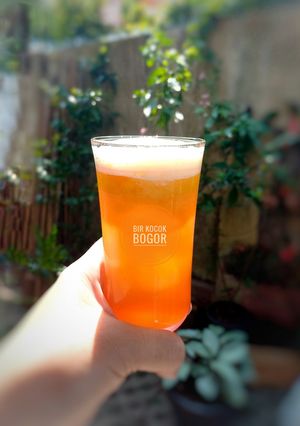 Foto resep Bir Kocok Jahe Bubuk