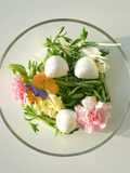 Flower Garden Salad 🌼