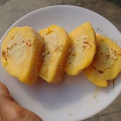 A picture of Mango kulfi.