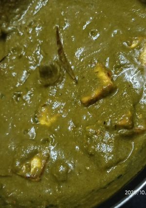 પાલક પનીર(Palak paneer Recipe in Gujarati) રેસીપી મુખ્ય ફોટો