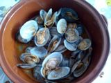 Coquina de la isla, a la marinera