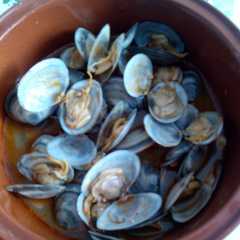 Foto principal de Coquina de la isla, a la marinera