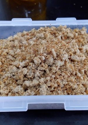 Foto resep Mpasi 8m+ Abon sapi