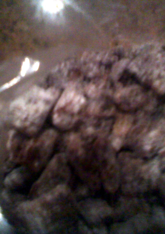A picture of Puppy chow.