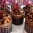 Pan dulce de "Doña Petrona"