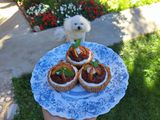 Vaníliás-krémtúrós mini tart (sütés nélkül)