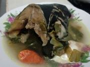 Gambar kepala ikan patin