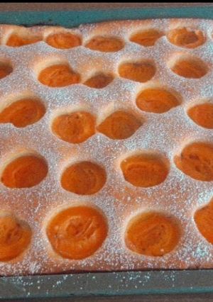 Marillenkuchen vom Blech :) Rezepthauptbild