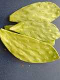 Nopales asados. ॐ
