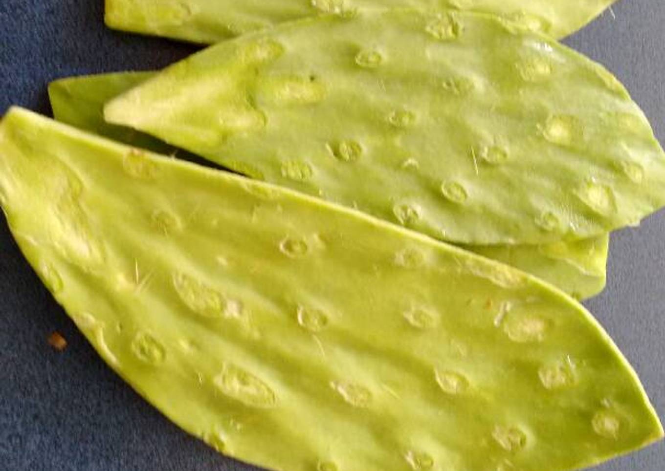 Nopales asados. ॐ