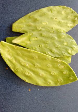 Una foto de Nopales asados. ॐ