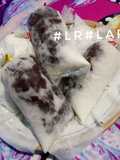 Es Lilin Susu Jelly
